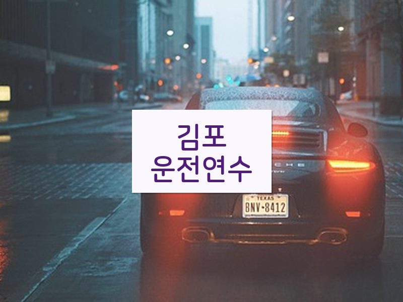 김포운전연수 후기