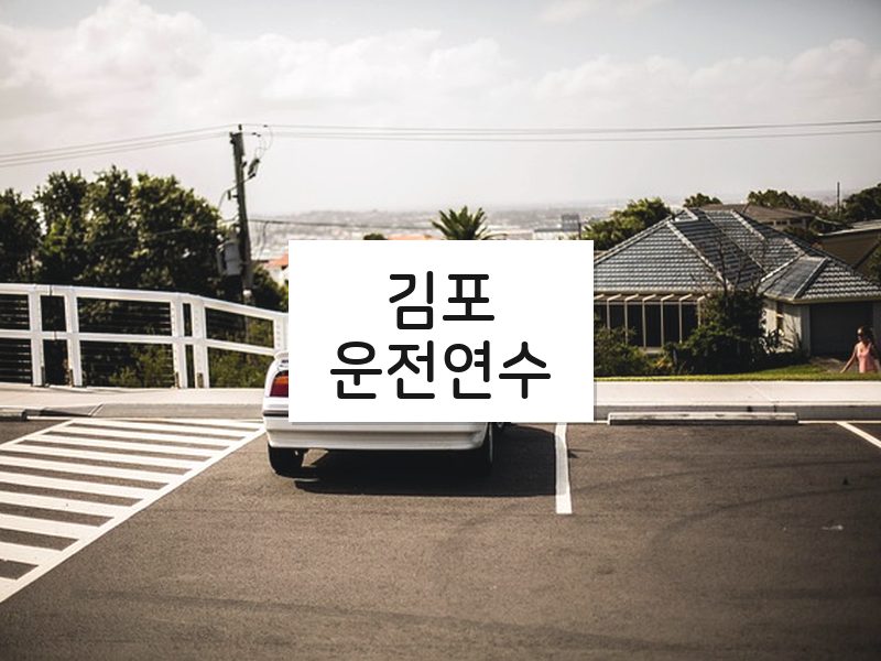 김포운전연수 후기