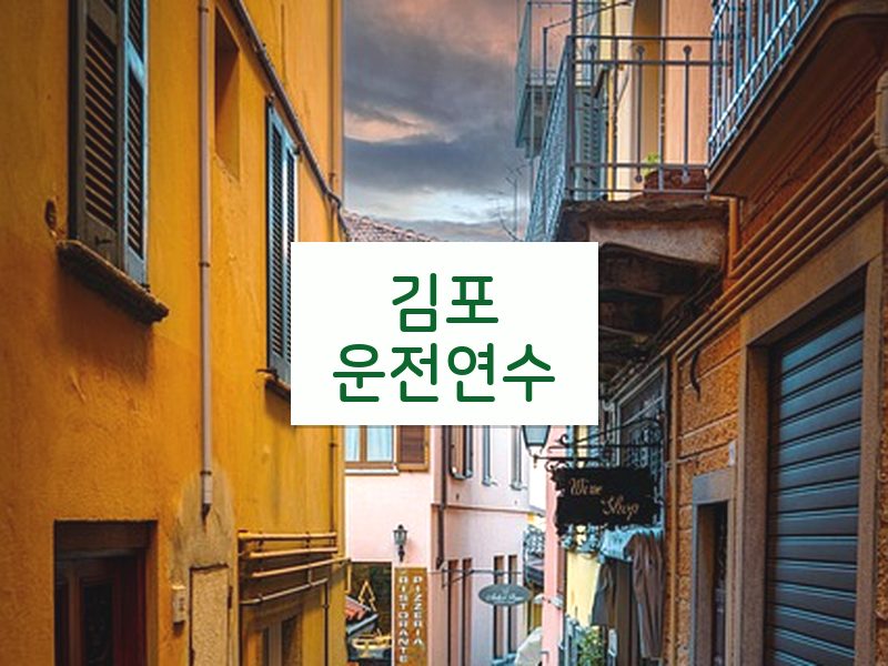 김포운전연수 후기