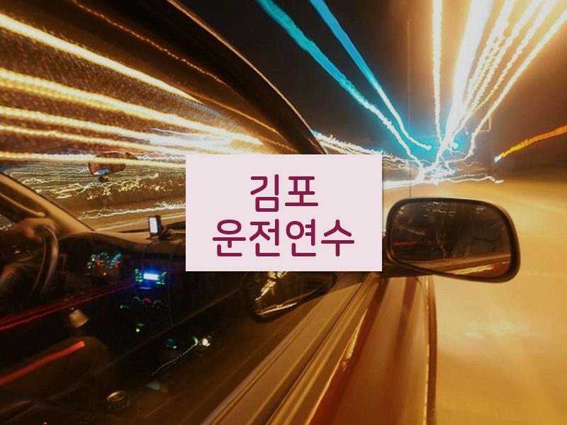 김포운전연수 후기