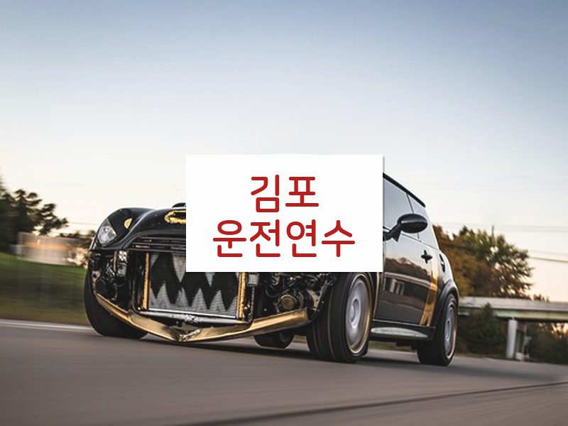 김포운전연수 후기