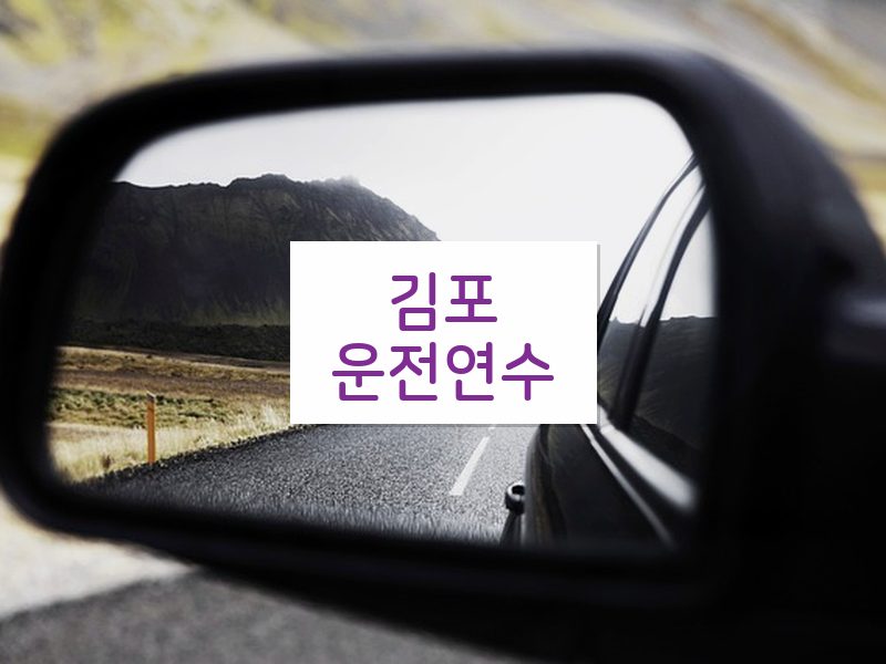 김포운전연수 후기