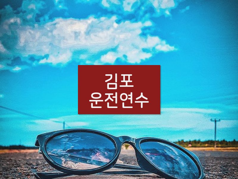 김포운전연수 후기