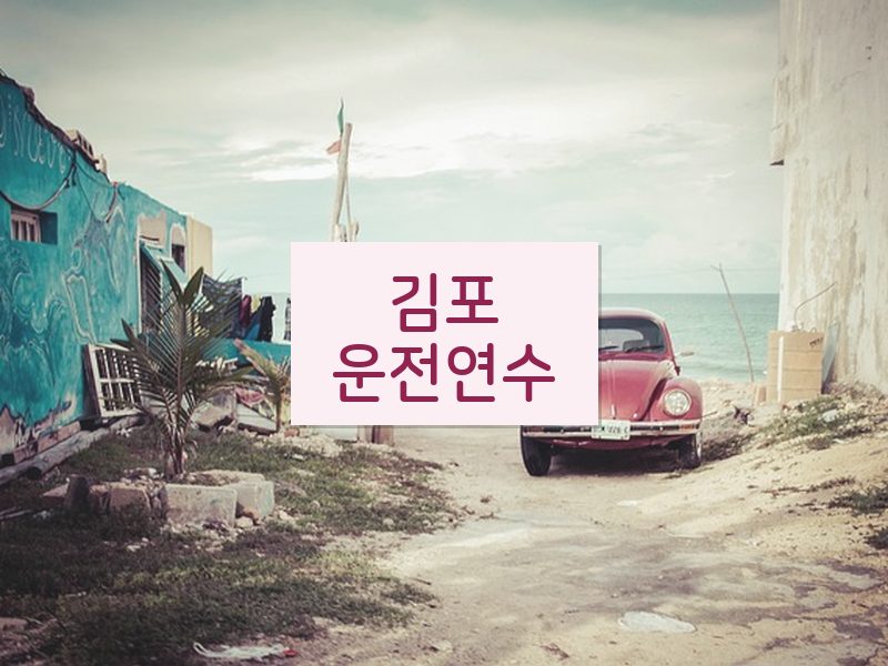 김포운전연수 후기