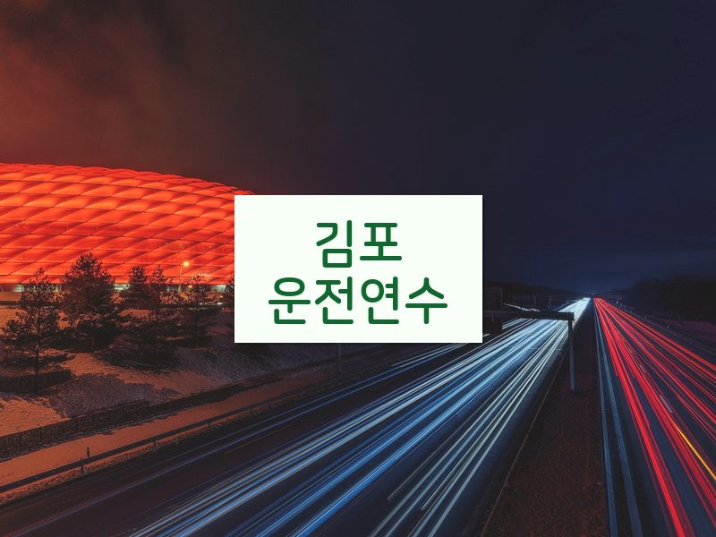 김포운전연수 후기