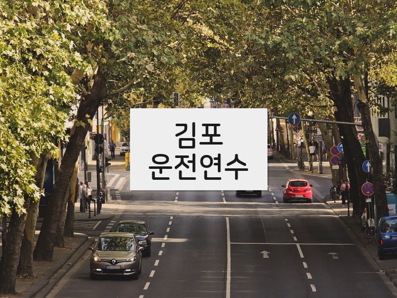 김포운전연수 후기