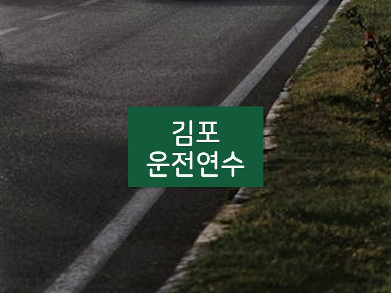 김포운전연수 후기