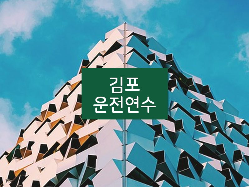 김포운전연수 후기