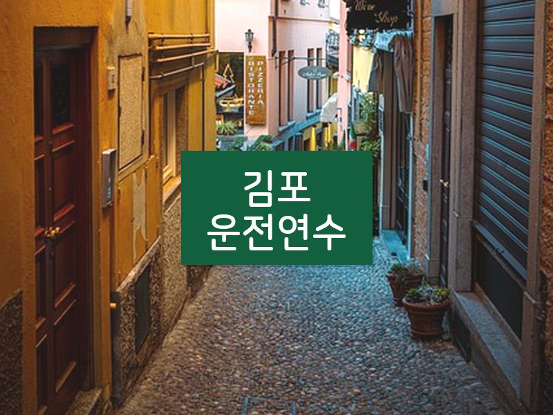 김포운전연수 후기