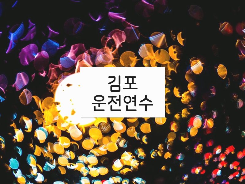 김포운전연수 후기