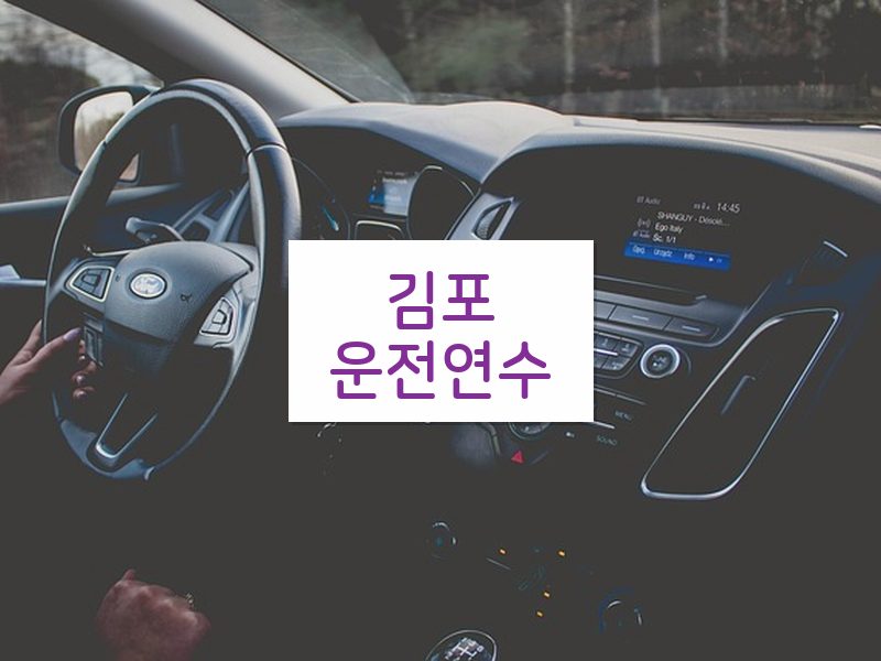 김포운전연수 후기