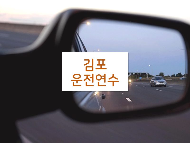 김포운전연수 후기