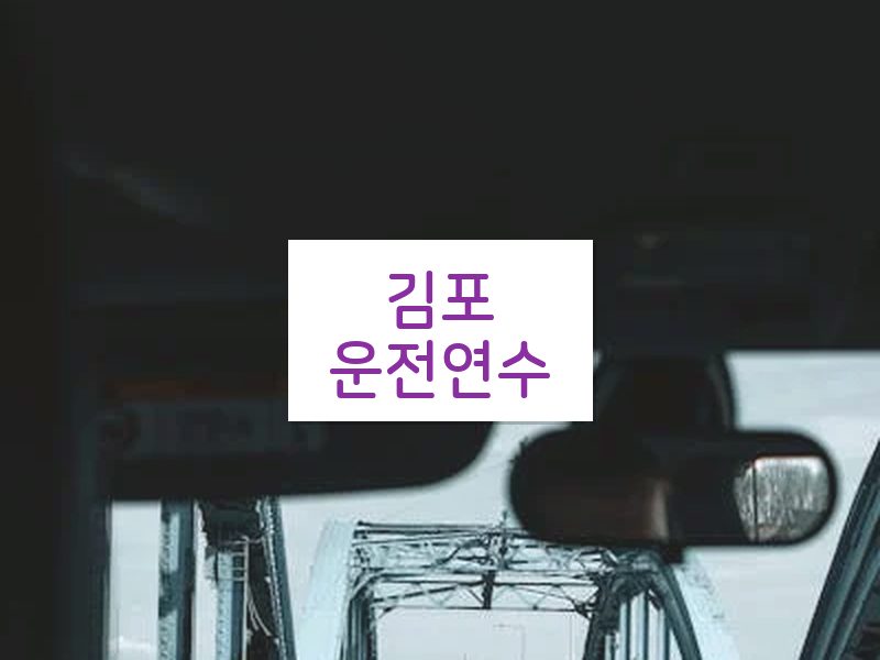 김포운전연수 후기