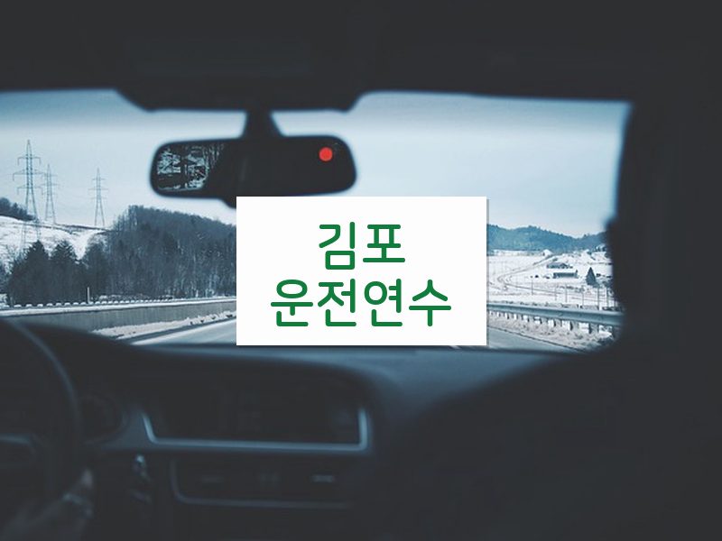 김포운전연수 후기