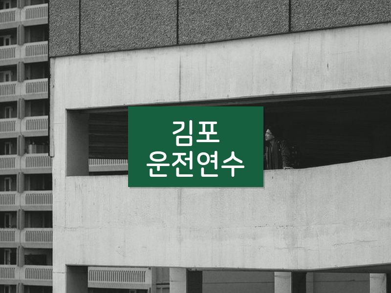 김포운전연수 후기
