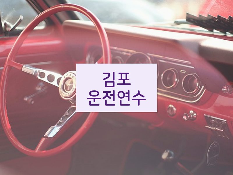 김포운전연수 후기