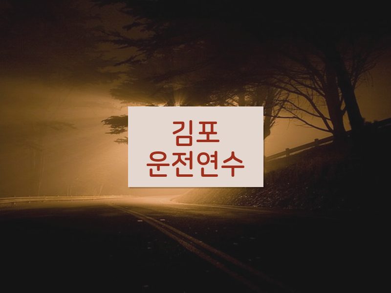 김포운전연수 후기