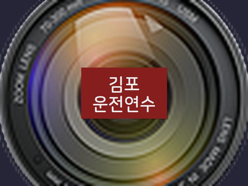 김포운전연수 후기