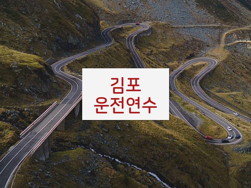 김포운전연수 후기