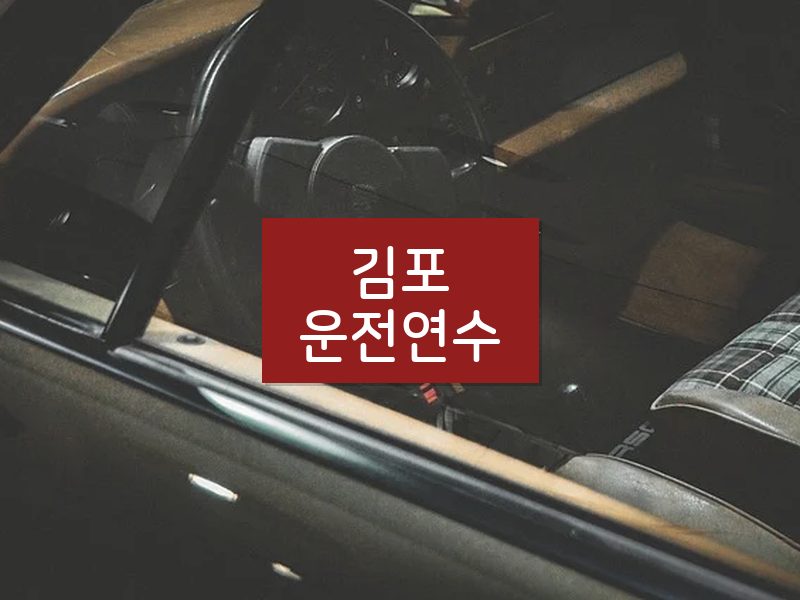 김포운전연수 후기