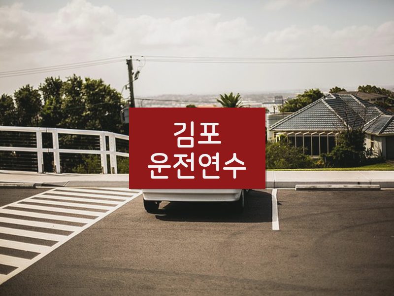 김포운전연수 후기