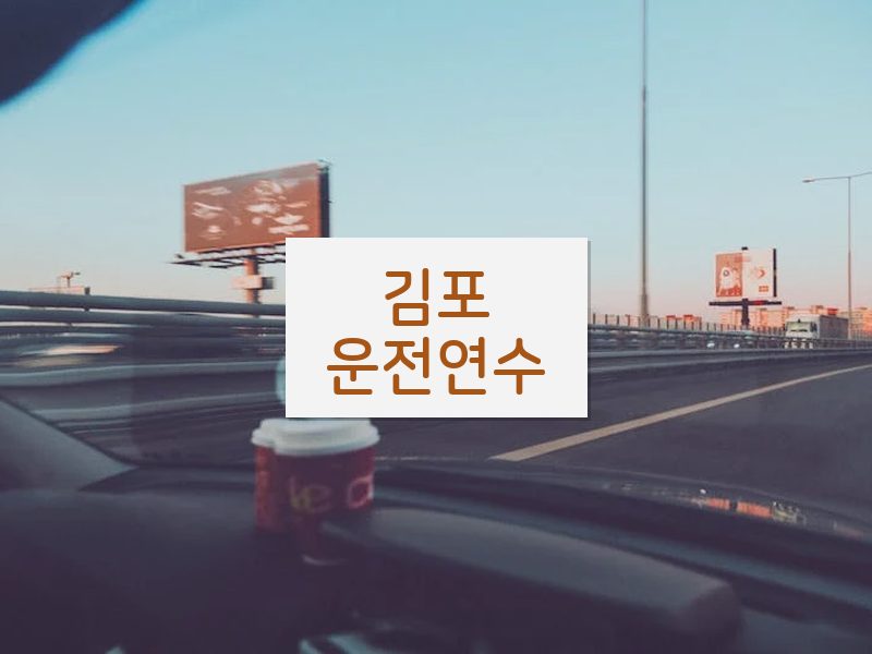 김포운전연수 후기