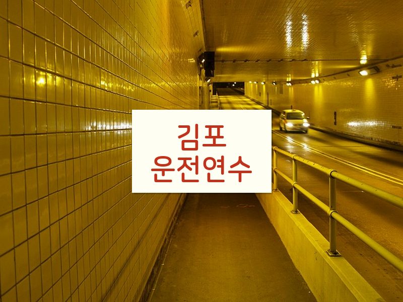김포운전연수 후기