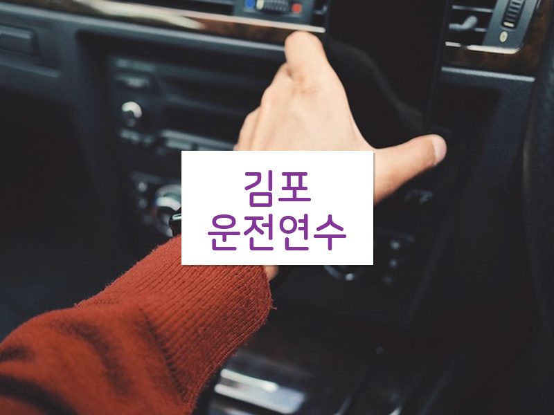 김포운전연수 후기