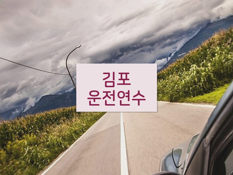 김포운전연수 후기