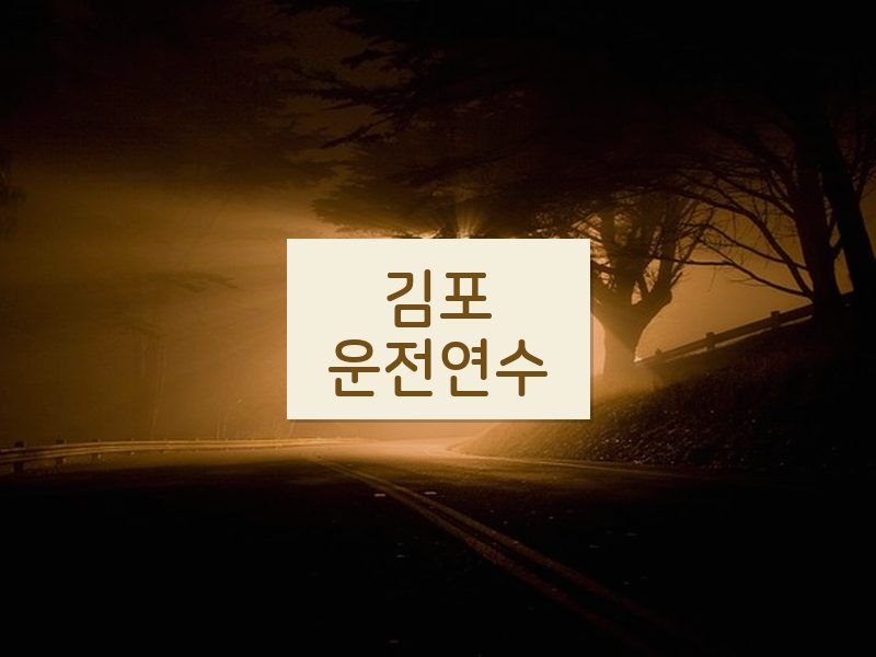 김포운전연수 후기