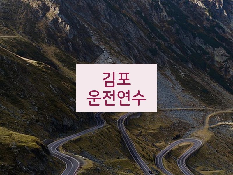 김포운전연수 후기