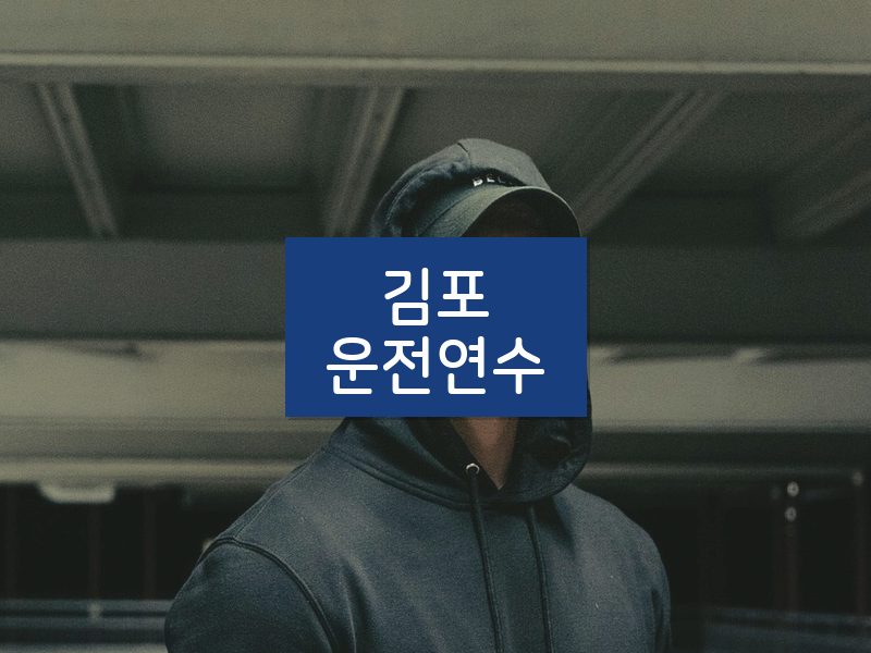 김포운전연수 후기