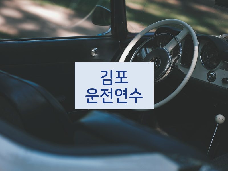 김포운전연수 후기
