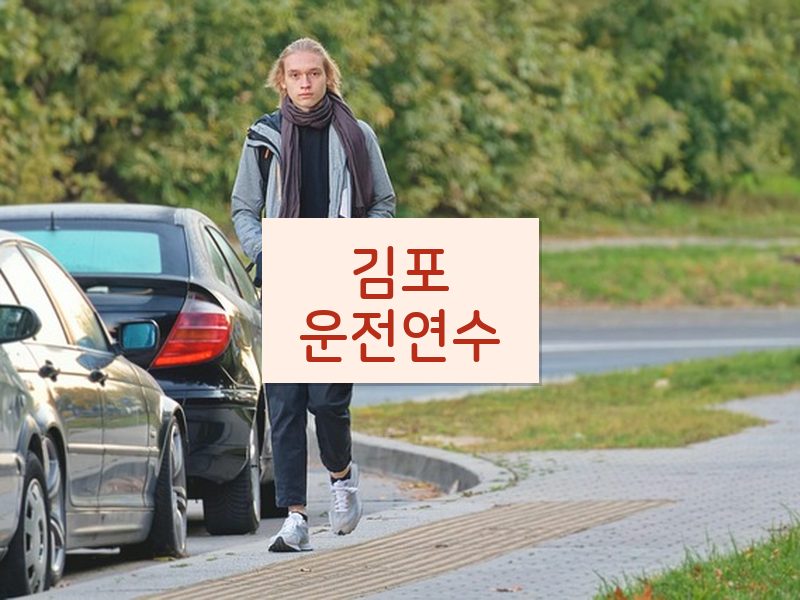 김포운전연수 후기