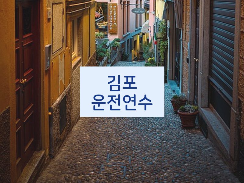 김포운전연수 후기