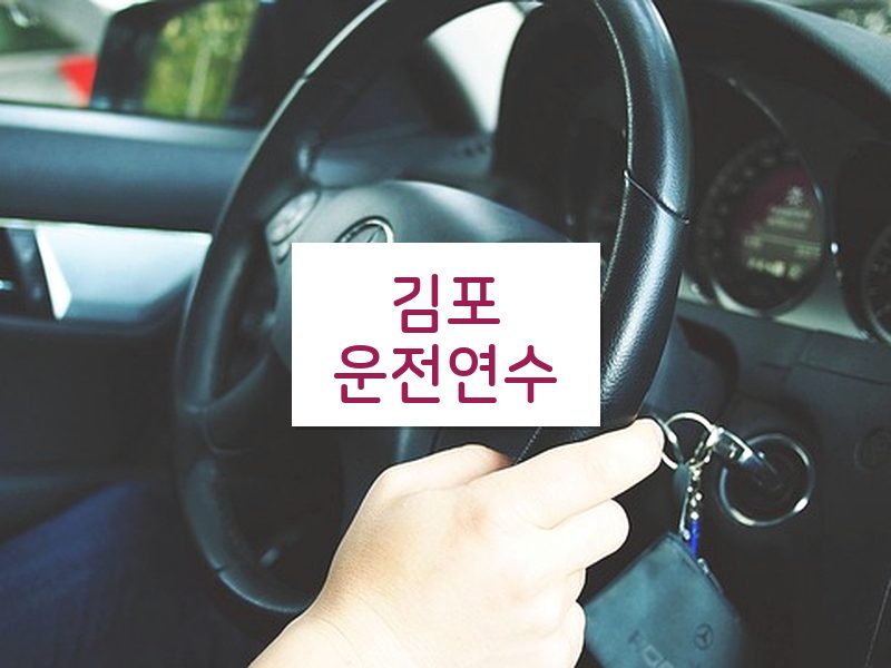 김포운전연수 후기