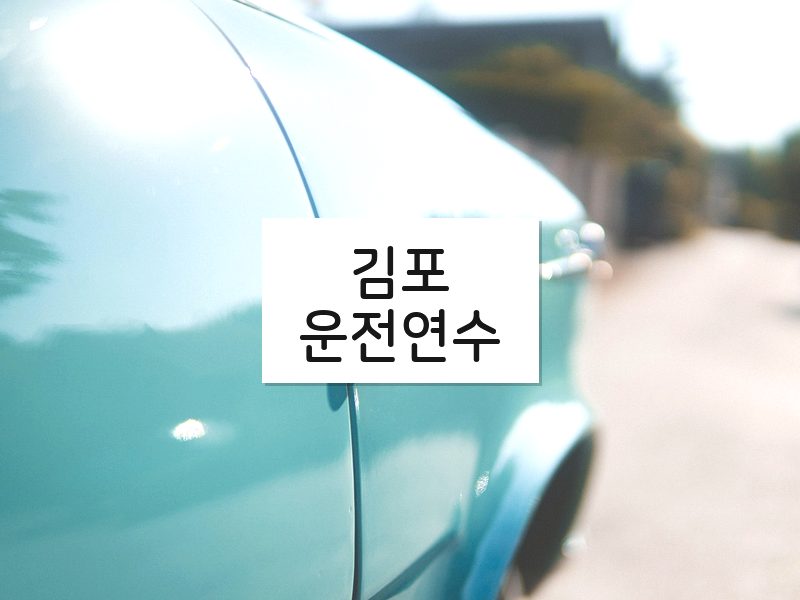 김포운전연수 후기
