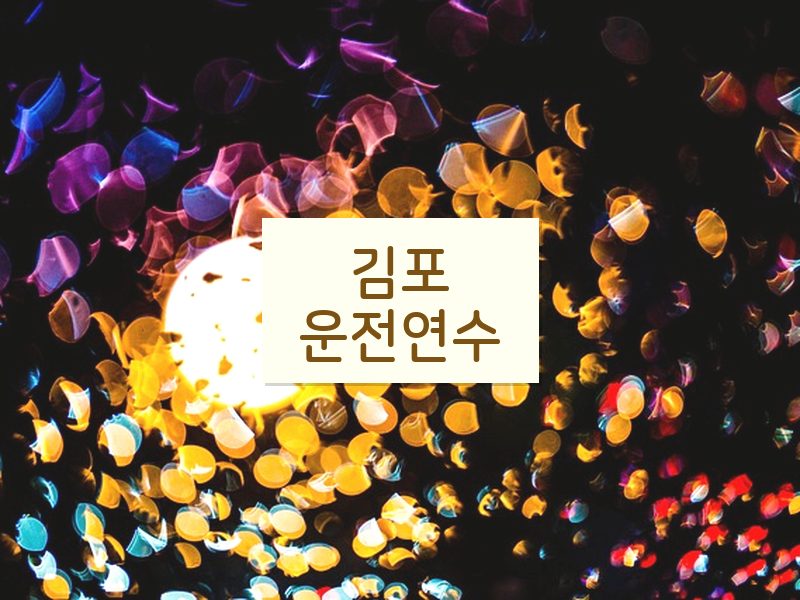 김포운전연수 후기