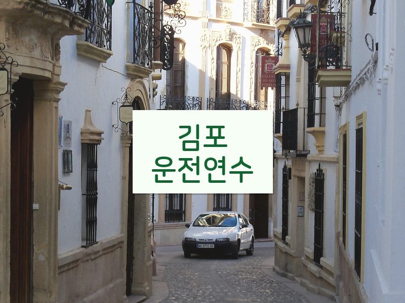 김포운전연수 후기