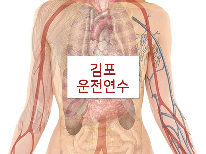 김포운전연수 후기