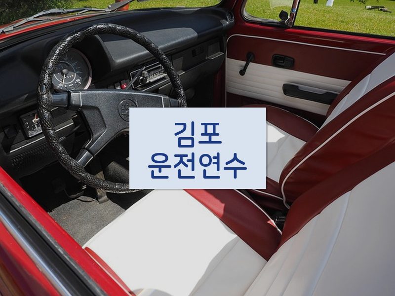 김포운전연수 후기