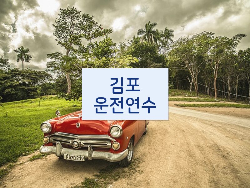 김포운전연수 후기