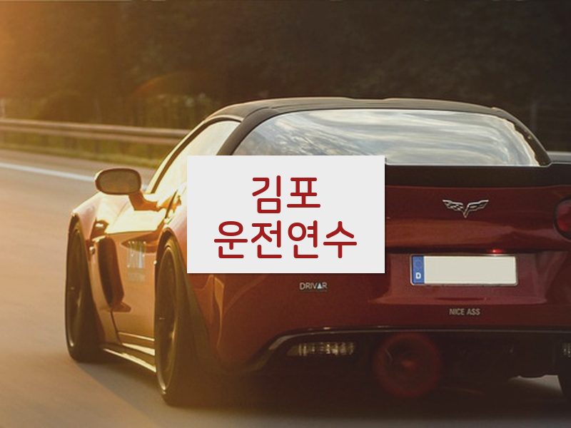 김포운전연수 후기