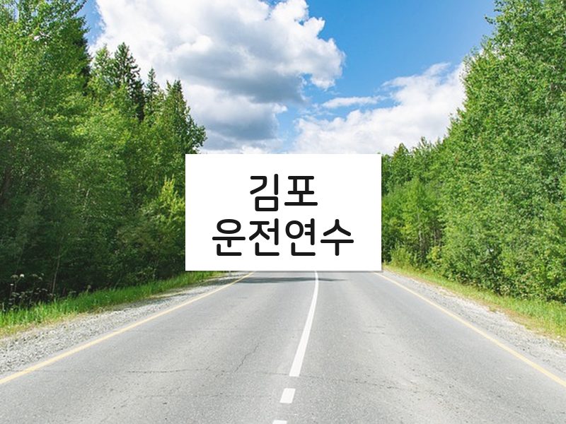 김포운전연수 후기