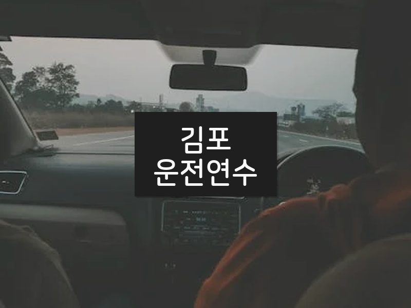 김포운전연수 후기