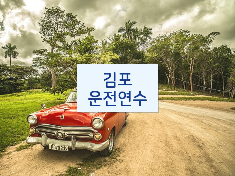 김포운전연수 후기