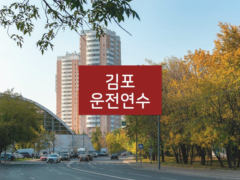 김포운전연수 후기