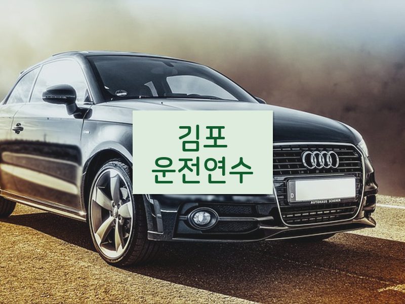 김포운전연수 후기