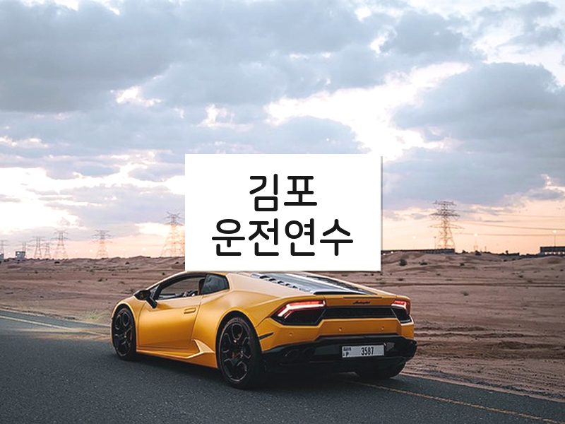 김포운전연수 후기