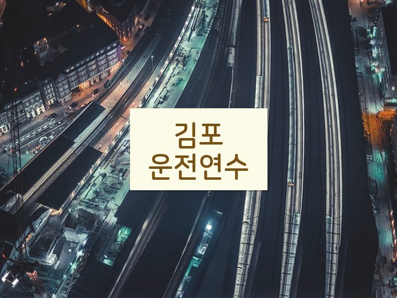 김포운전연수 후기